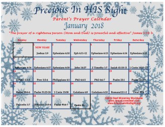 PreciousInHisSightJan2018
