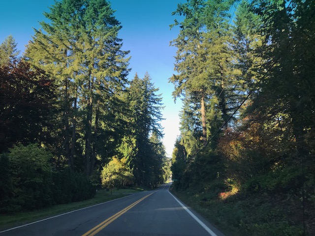 EvergreenStateCountryRoads