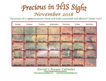 PreciousInHisSightNovember2018r